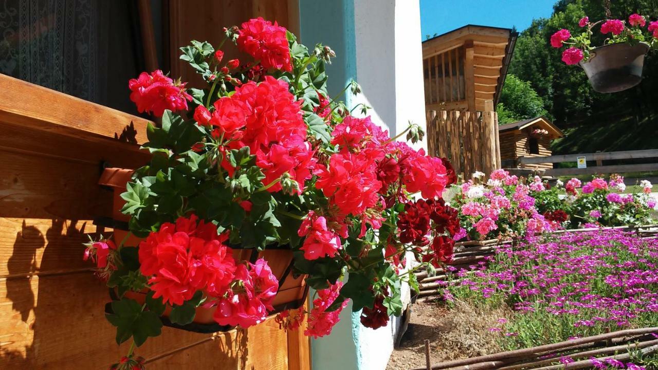 B&B El Molin Cavalese Eksteriør billede